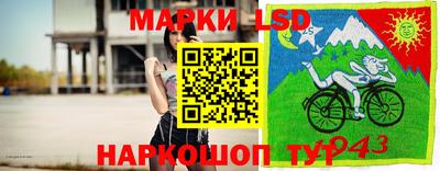 молекула духа Гатчина