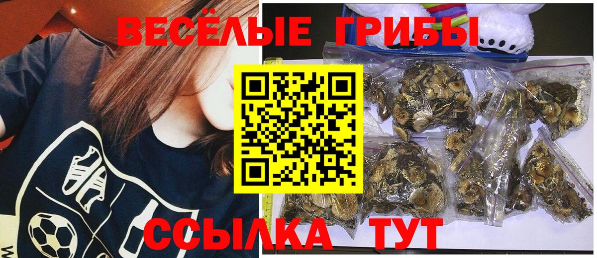 Галлюциногенные грибы мухоморы  цена   Нефтекумск  Вход с VPN 
